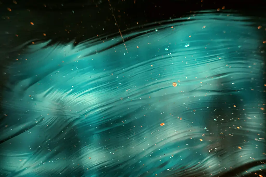 豪華郵輪環遊世界之旅：一生難忘的冒險